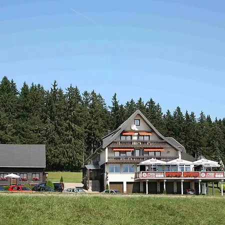 Hotel Hohengasthof Lowen - Escheck 3*