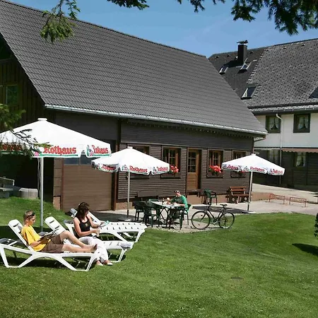 Hohengasthof Lowen - Escheck 3* Schoenwald im Schwarzwald