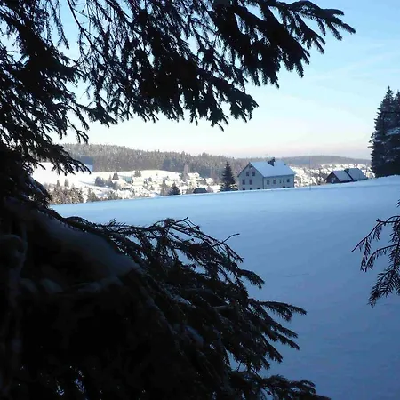 Hotel Hohengasthof Lowen - Escheck