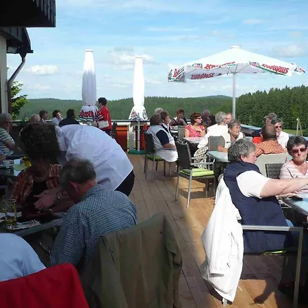 Hotel Hohengasthof Lowen - Escheck 3*